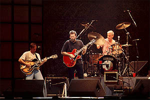 Photo # 8