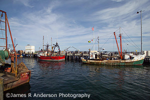 Provincetown Harbor Cape Cod